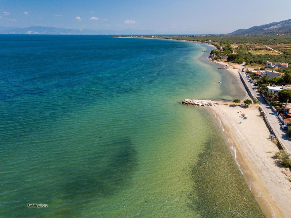Villa 4 You Iliopetra سكالا سوتيروس المظهر الخارجي الصورة