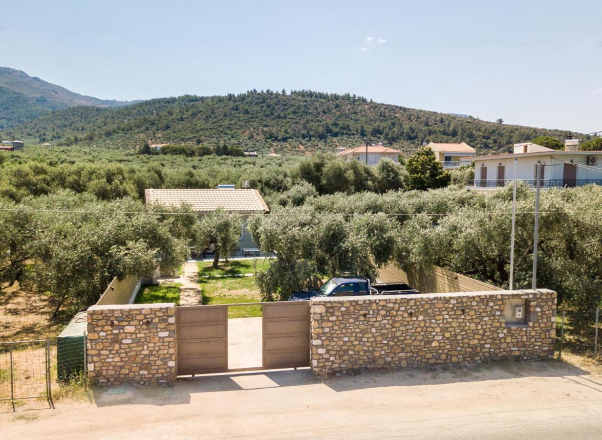 Villa 4 You Iliopetra سكالا سوتيروس المظهر الخارجي الصورة